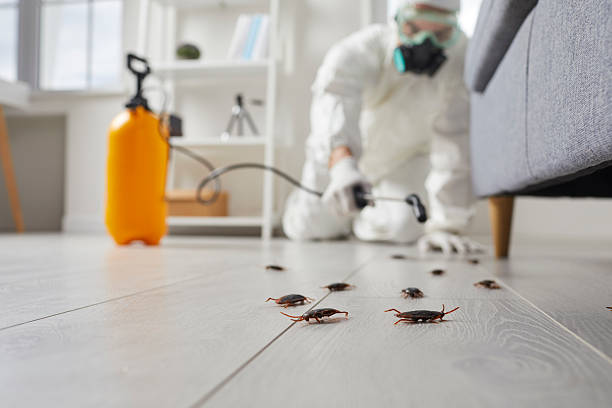 Trusted Fumigation Services service in Barrackville, WV - Nex Pest Control